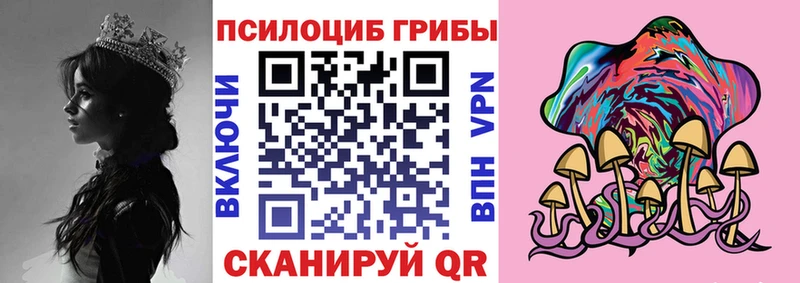 закладка KRAKEN ссылки Псилоцибиновые грибы Psilocybine cubensis Саяногорск